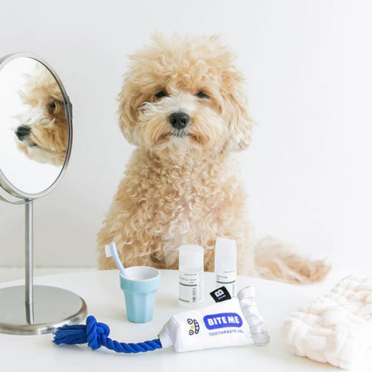 Small dog carrying the BITE ME Toothpaste Plush Tug Toy, showing the toy's size and suitability for small dogs.