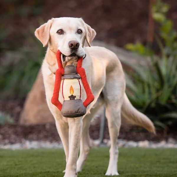 P.L.A.Y. Camp Corbin Collection | Dog carrying the Camp Corbin Pack Leader Lantern plush dog toy