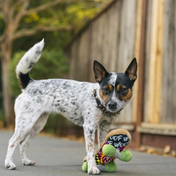 Dog standing outdoors with P.L.A.Y. 90s Classics Kickflippin’ K9 Skateboard plush toy under paw