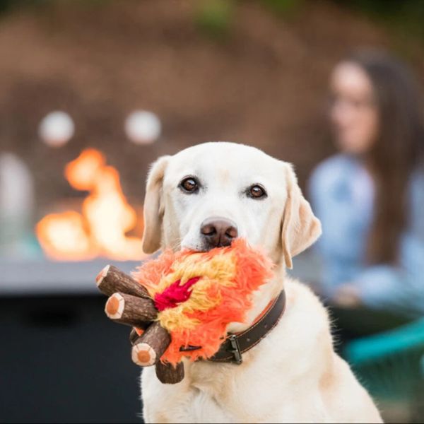 P.L.A.Y. Camp Corbin Collection | Dog carrying a Camp Corbin Cozy Campfire plush dog toy