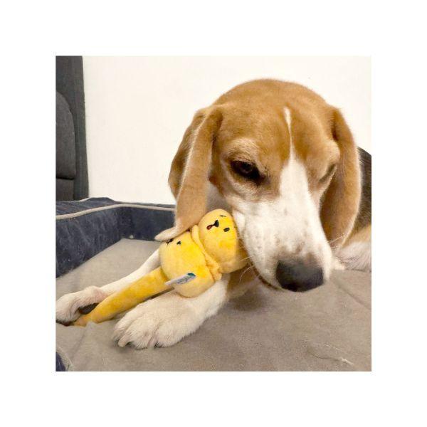 Dog holding the yellow Woof² Siu Mai Brothers Dog Toy
