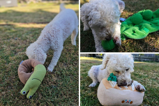 collage of dog playing snuffle toys