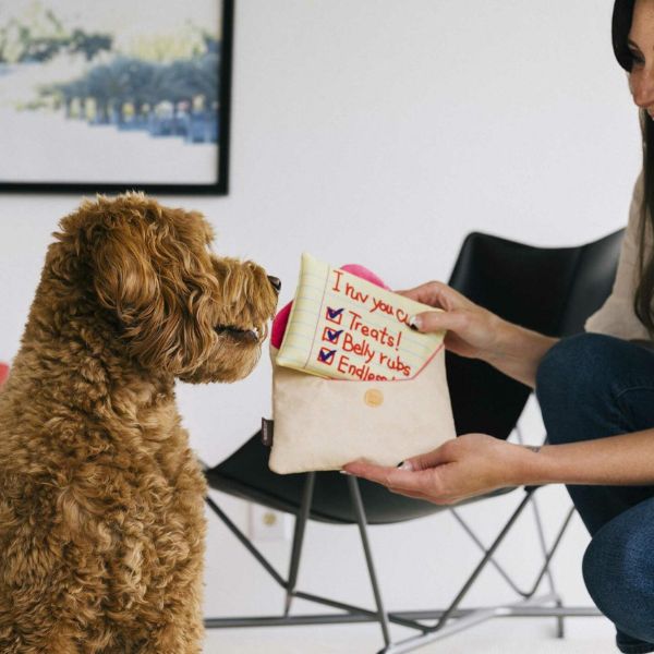 Dog looking at a P.L.A.Y. Love Bug Ruv Letter dog toy