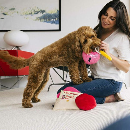 Dog playing with P.L.A.Y. Love Bug Collection 