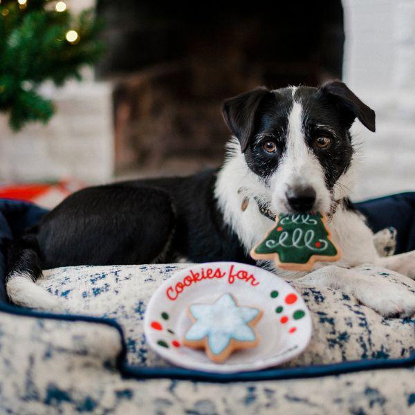 P.L.A.Y. Woofmas Collection | Dog biting the Christmas Eve Cookies
