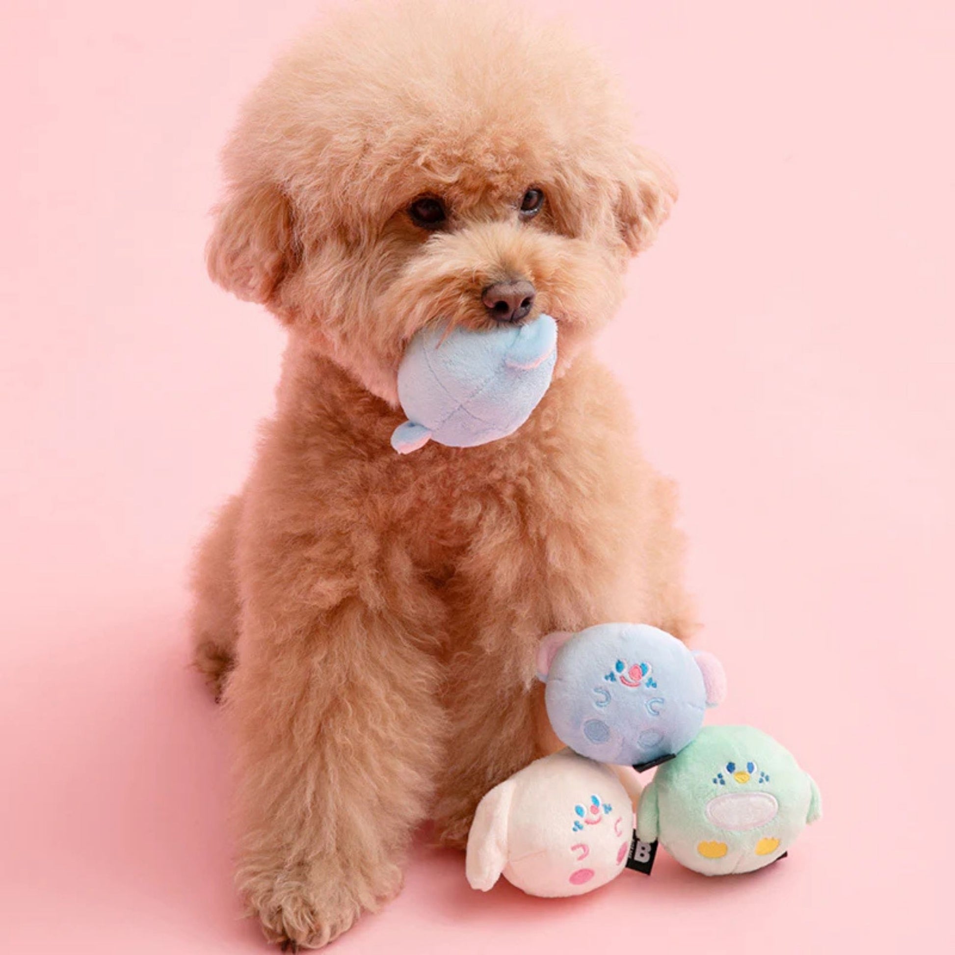 Small dog carrying a BITE ME Fluffy Friends plush ball, showing the toy's size for small dogs.