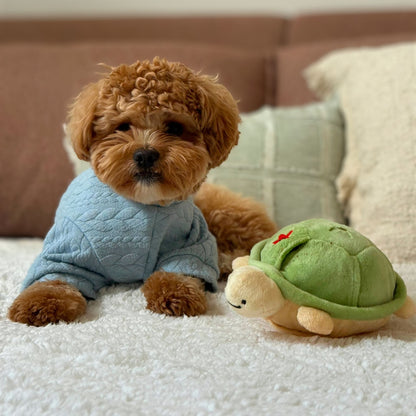 Small brown dog relaxing beside the BITE ME Jumping Boogie Auto-Ball Toy on a cosy sofa