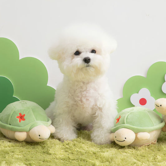 Small white dog sitting beside the BITE ME Jumping Boogie Auto-Ball Toy
