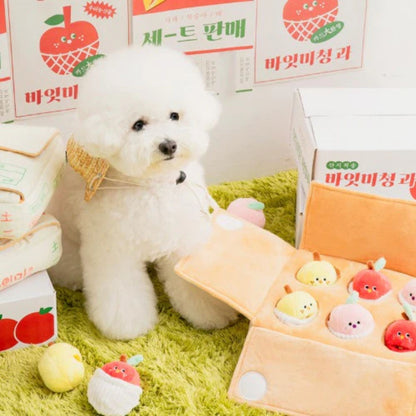 Small dog sitting beside the BITE ME Mixed Fruits Box Nosework Toy and plush fruit pieces