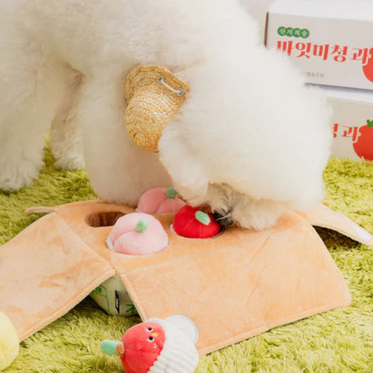 Dog playing with the BITE ME Mixed Fruits Box Nosework Toy during a nosework enrichment session