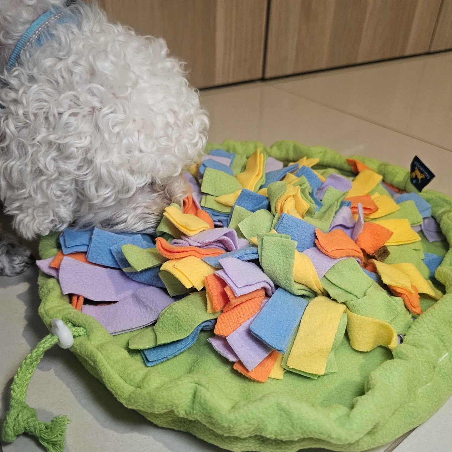 Small dog using Sniff & Stash snuffle mat indoors for calm nosework enrichment