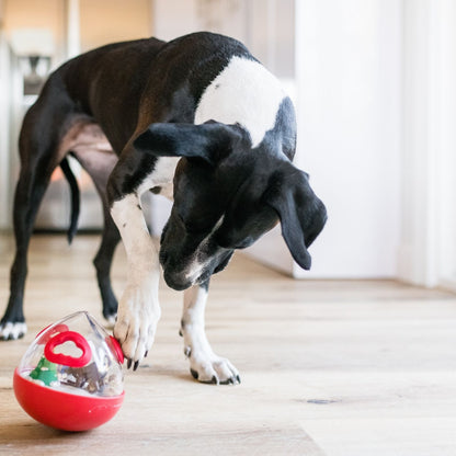 Dog Pawing at P.L.A.Y. Wobble Ball 2.0 Holiday Edition Red Dog Toy Indoors