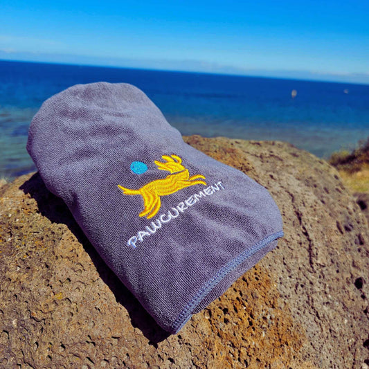 Pawcurement Quick Dry Dog Towel resting on rock by the sea