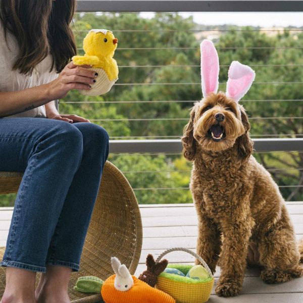 Dog wearing bunny ears sitting beside a person holding the P.L.A.Y. Hippity Hoppity Chick Me Out plush dog toy with Easter basket