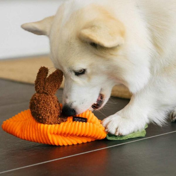 Dog playing with the P.L.A.Y. Hippity Hoppity Funny Bunnies plush toy featuring carrot and bunny design