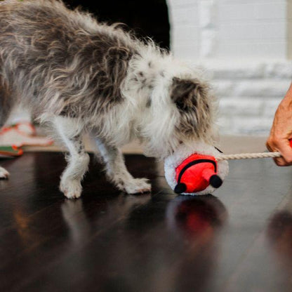 Dog playing tug-of-war with a human using the P.L.A.Y. Woofmas Santa tug toy.