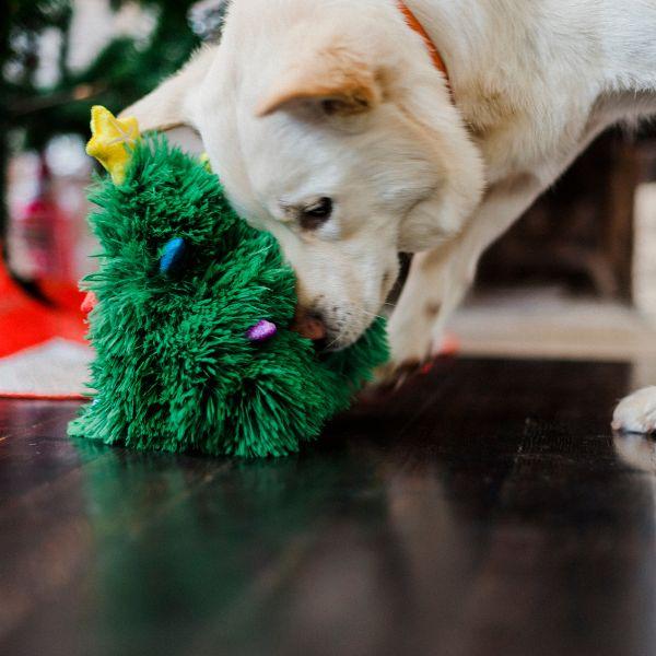 Close-up of a white shepherd dog nudging the P.L.A.Y. Woofmas Collection Doglas Fur Christmas tree toy on a dark brown hardwood floor.