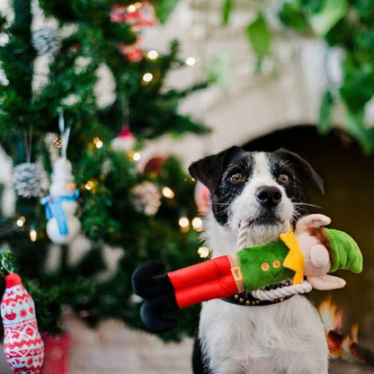 Border collie holding the P.L.A.Y. Woofmas Collection Santa’s Little Elf-er toy by its rope in front of a decorated Christmas tree.