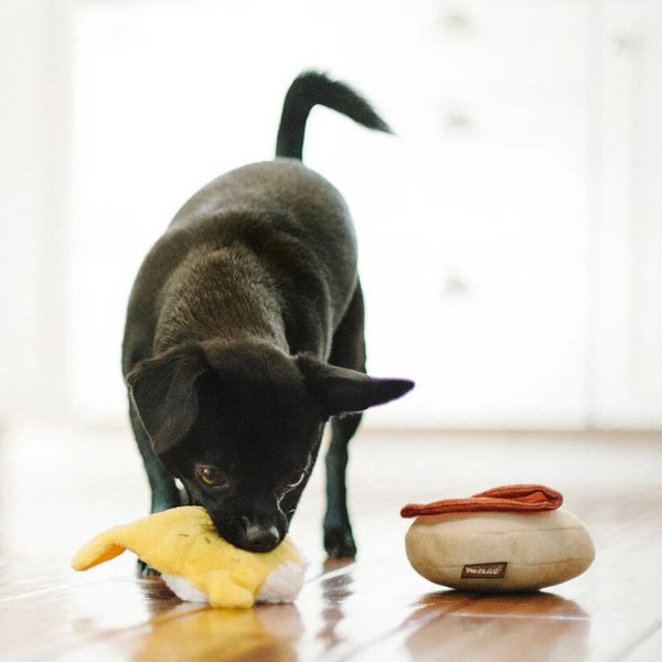 Black pup playing with P.L.A.Y. Barking Brunch Benny's Benedict plush dog toy
