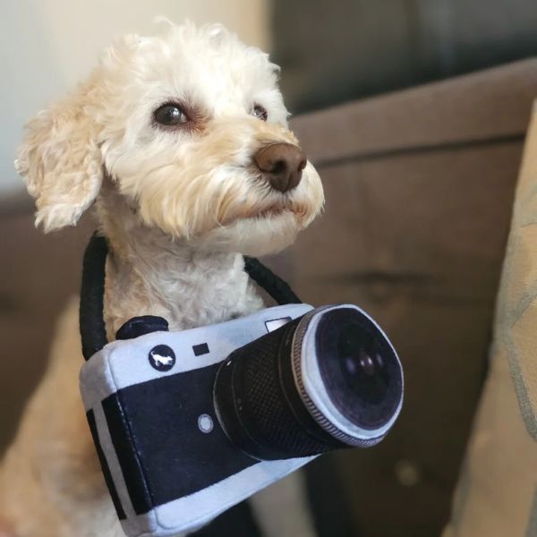 P.L.A.Y Globetrotter Collection | Dog carrying the Lens Licker Camera plush dog toy