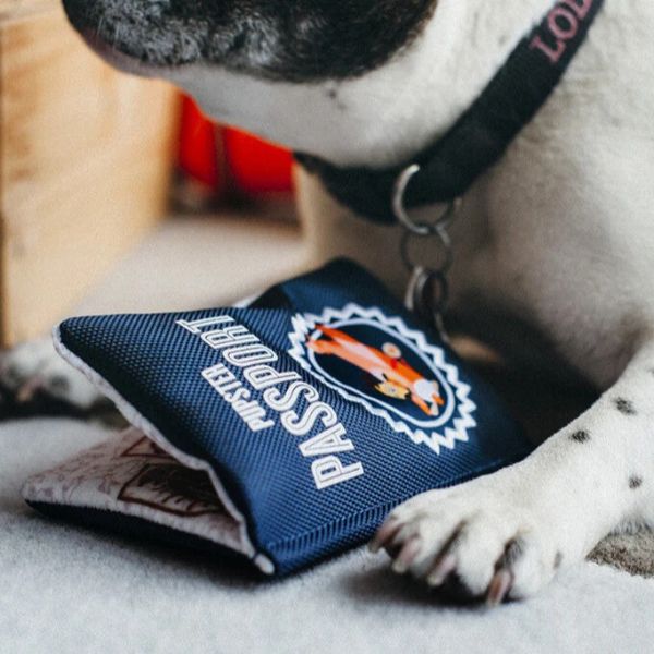 P.L.A.Y Globetrotter Collection | Pupster Passport plush dog toy on a neck of a dog