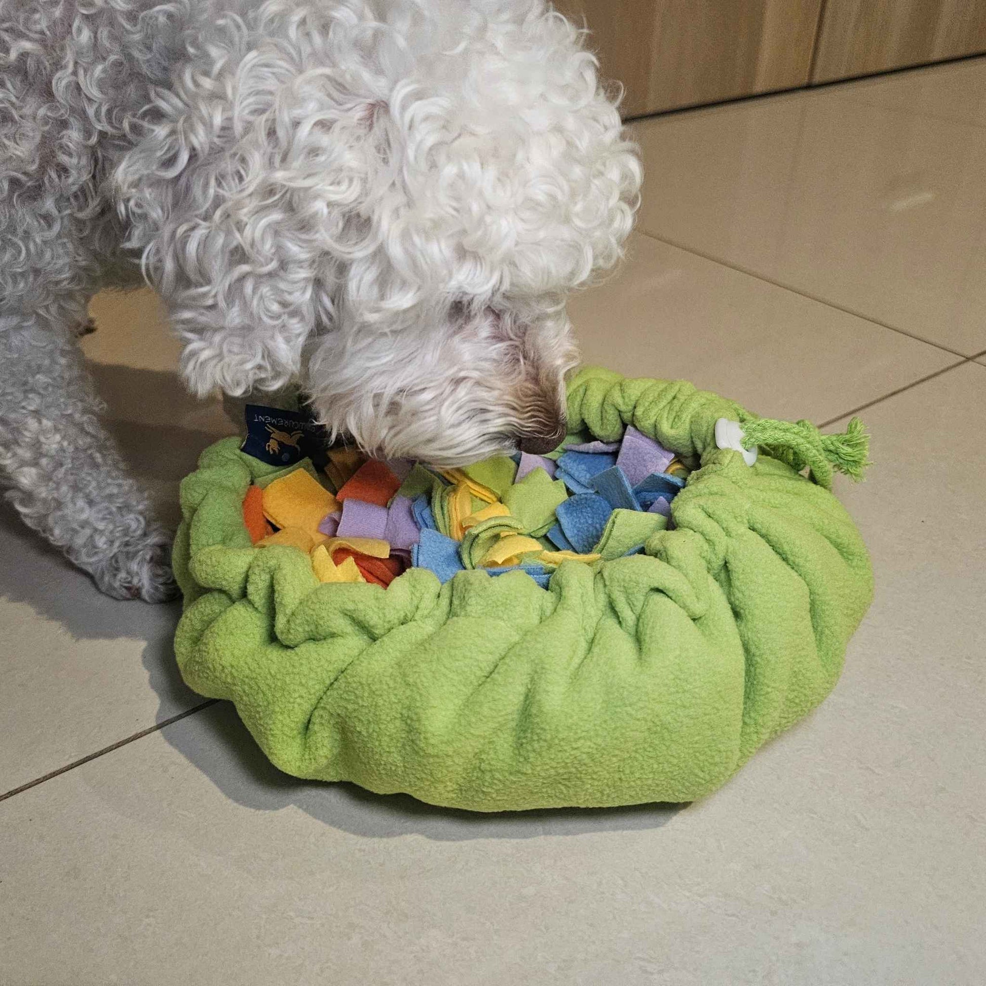 Dog foraging treats on Sniff & Stash snuffle mat spread flat on the floor