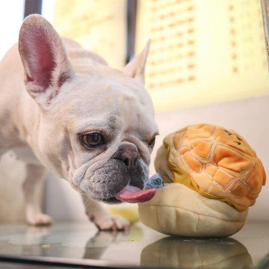 French bulldog sniffing and licking the Woof² Buttered Pineapple Bun 2-in-1 Dog Toy, showing realistic play and treat interaction.