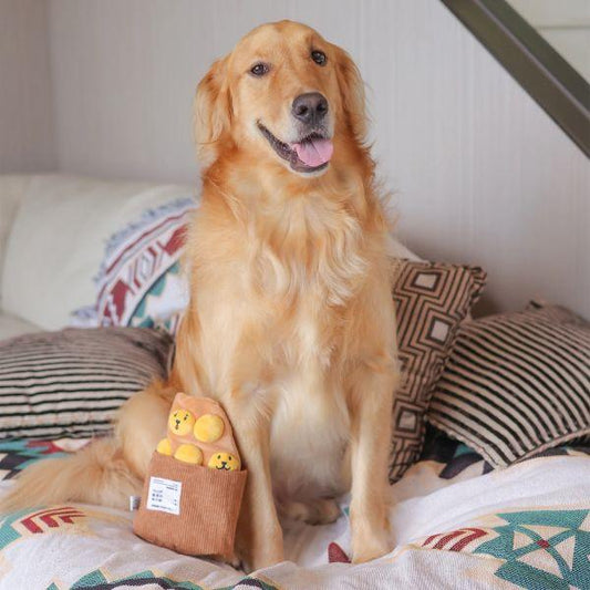 Golden retriever sitting on a bed beside the Woof² Egg Puff Waffle Nose-work Dog Toy in its removable bag.